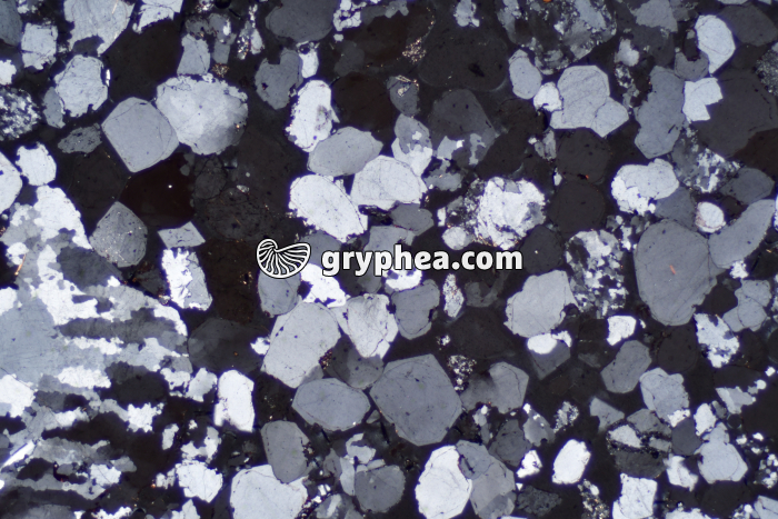 Grès LPA x10 - gryphea.com